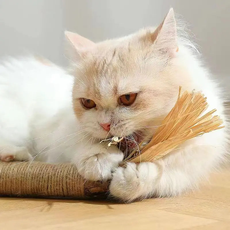 Cat Silvervine Chewing Stick