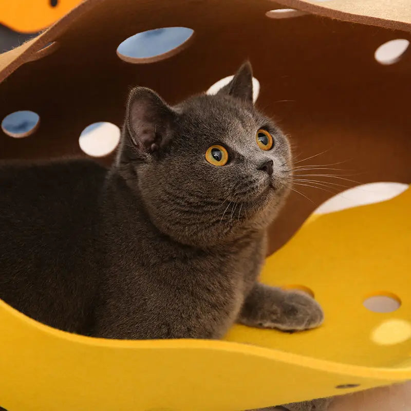 Cat Tunnel Toy